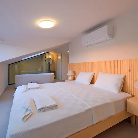 Ion Indoor Heated Pool, Sauna, Jacuzzi, Underfloor Heating System Vilă